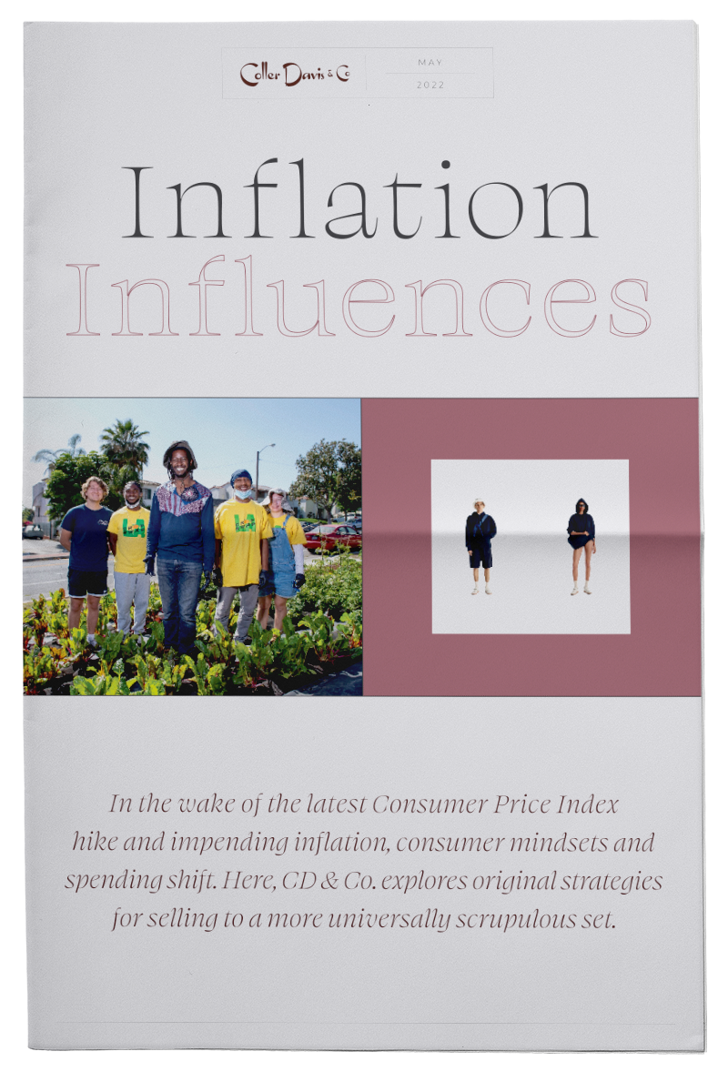 Inflation Influences